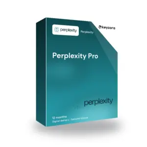Perplexity Pro (12 months)