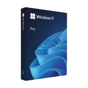 Windows 11 Pro